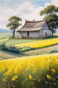 Yellow Canola Fields in Bloom Contrasted by Blue Sky and Distant Barn Landscape Print