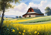 Yellow Canola Fields in Bloom Contrasted by Blue Sky and Distant Barn Landscape Print