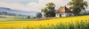Yellow Canola Fields in Bloom Contrasted by Blue Sky and Distant Barn Landscape Print