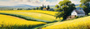 Yellow Canola Fields in Bloom Contrasted by Blue Sky and Distant Barn Landscape Print