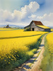Yellow Canola Fields in Bloom Contrasted by Blue Sky and Distant Barn Landscape Print
