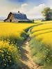 Yellow Canola Fields in Bloom Contrasted by Blue Sky and Distant Barn Landscape Print