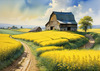 Yellow Canola Fields in Bloom Contrasted by Blue Sky and Distant Barn Landscape Print