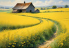 Yellow Canola Fields in Bloom Contrasted by Blue Sky and Distant Barn Landscape Print