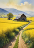 Yellow Canola Fields in Bloom Contrasted by Blue Sky and Distant Barn Landscape Print