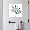 Vibrant Paradise Frond Bathroom Demo