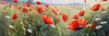 Bright Red Poppy Field with White Daisies Against Blue Sky Art Print