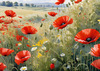 Bright Red Poppy Field with White Daisies Against Blue Sky Art Print