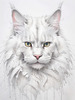 Abstract Sketch of White Maine Coon Cat with Striking Eyes