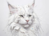 Abstract Sketch of White Maine Coon Cat with Striking Eyes