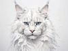 Abstract Sketch of White Maine Coon Cat with Striking Eyes