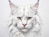 Abstract Sketch of White Maine Coon Cat with Striking Eyes
