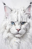 Abstract Sketch of White Maine Coon Cat with Striking Eyes