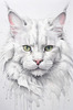 Abstract Sketch of White Maine Coon Cat with Striking Eyes
