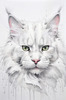Abstract Sketch of White Maine Coon Cat with Striking Eyes