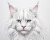 Abstract Sketch of White Maine Coon Cat with Striking Eyes