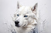 Abstract Art of White Siberian Husky with Icy Eyes