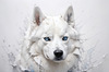 Abstract Art of White Siberian Husky with Icy Eyes