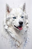 Abstract Art of White Siberian Husky with Icy Eyes