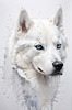 Abstract Art of White Siberian Husky with Icy Eyes