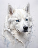 Abstract Art of White Siberian Husky with Icy Eyes