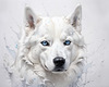 Abstract Art of White Siberian Husky with Icy Eyes
