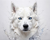 Abstract Art of White Siberian Husky with Icy Eyes