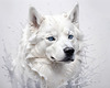 Abstract Art of White Siberian Husky with Icy Eyes