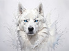 Abstract Art of White Siberian Husky with Icy Eyes