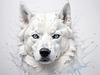 Abstract Art of White Siberian Husky with Icy Eyes