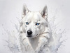 Abstract Art of White Siberian Husky with Icy Eyes