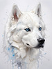 Abstract Art of White Siberian Husky with Icy Eyes