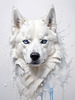 Abstract Art of White Siberian Husky with Icy Eyes