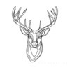 Minimalist Line Art Emphasizing White-Tailed Deer Antler