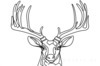Minimalist Line Art Emphasizing White-Tailed Deer Antler Curve