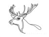 Minimalist Line Art Emphasizing White-Tailed Deer Antler Curve