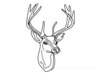 Minimalist Line Art Emphasizing White-Tailed Deer Antler Curve