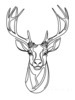 Minimalist Line Art Emphasizing White-Tailed Deer Antler Curve