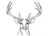 Minimalist Line Art Emphasizing White-Tailed Deer Antler Curve